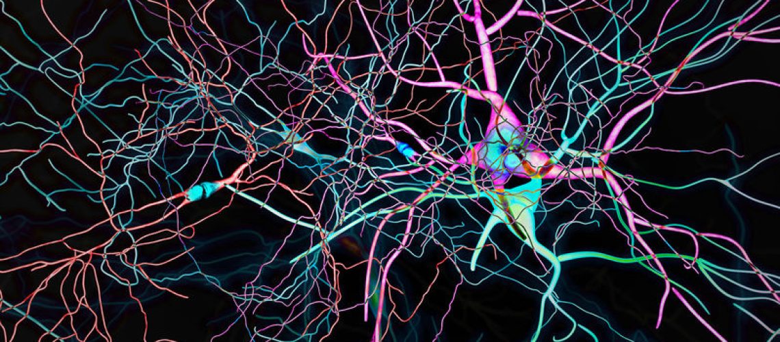 epilepsia